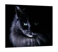 DarHaus Protection anti-éclaboussures en verre trempé 65 x 60 cm - Verre décoratif avec ruban adhésif - Paroi arrière en verre pour cuisine - Plaque de protection induction, Chat Noir