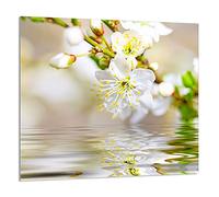 DarHaus Protection anti-éclaboussures en verre trempé 65 x 60 cm - Verre décoratif avec ruban adhésif - Paroi arrière en verre pour cuisine - Plaque de protection induction, Prunier Beige