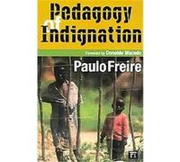 Daring to Dream, Series in Critical Narritive Paulo Freire (Auteur)