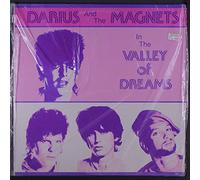 DARIUS & MAGNETS - in the valley of dreams LP