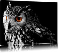 Dark Chouette avec les yeux oranges Format: toile 120x80auf, énorme XXL Photos complètement encadrée avec civière, art impression sur murale avec cadre, moins cher que la peinture ou la peinture à l'huile, aucune affiche ou un poster
