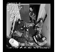 Dark Dark Dark - What I Needed [Import]