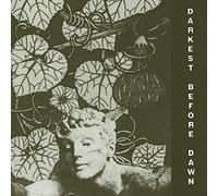 Dark Day - Darkest Before Dawn LP