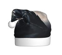 Dark Fairy Tale Castle02 Bonnet de Père Noël pour adulte Femme Homme Chapeau de Noël pour Nouvel An Fête festive