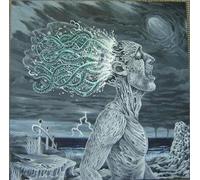 DARK FAITH - Terrains Vagues