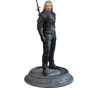 Dark Horse Netflix The Witcher Geralt of Rivia Statue 22 cm DAHO3008-743