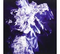 Dark in the Night [Limited] [Import allemand]