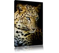 Dark Leopard avec des yeux bleus, peinture sur toile, énorme XXL Photos complètement encadrée avec civière, art impression sur murale avec cadre, moins cher que la peinture ou la peinture à l'huile, aucune affiche ou un poster taille: 100x70 cm