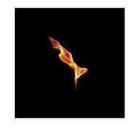 Turin Brakes - Dark on Fire [Import]