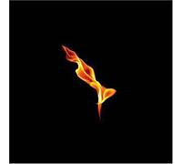 Dark on Fire by Turin Brakes (2007-09-18)
