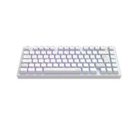 DARK PROJECT ALU Terra Nostra, Blanc - Clavier mécanique de jeu (DE) [ISO]
