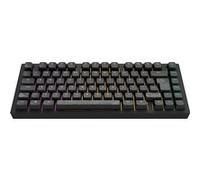 Dark Project ALU81A TERRA NOSTRA Clavier de jeu mécanique | ISO Multi | Hot-Swap | Commutateurs graissés G3MS Moonstone | Stabilisateurs graissés | Montage sur joint flexible | Aluminium | 75 % (81