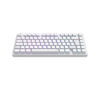 Dark Project Clavier mécanique ALU81A TERRA NOSTRA – ISO Multi, Hot‑Swap, G3MS, aluminium, 75%