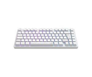 Dark Project ALU81A TERRA NOSTRA Clavier de jeu mécanique | ISO Multi | Hot-Swap | Commutateurs graissés G3MS Moonstone | Stabilisateurs graissés | Montage sur joint flexible | Aluminium | 75 % (81