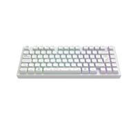 Dark Project ALU81A TERRA NOVA Clavier de jeu mécanique sans fil | ISO Multi | Hot-Swap | Commutateurs graissés G3MS Moonstone | Stabilisateurs graissés | Montage sur joint flexible | Aluminium | 75 %