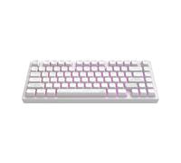 Dark Project Aluminium Terra Nostra White (ENG) [ANSI] - Clavier de jeu mécanique filaire USB, RVB, G3MS Moonstone, Hotswappable, stabilisateurs de graisse, aluminium 75%