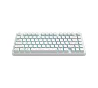 Dark Project Aluminium Terra Nova Blanc (ENG) [ANSI] - Clavier de jeu mécanique, sans fil et avec USB, touches multilingues, RVB, G3MS Moonstone, remplaçable à chaud, stabilisateurs de graisse,