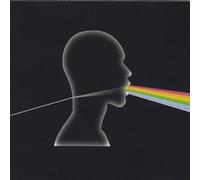 Dark Side of The Moon a Cappella