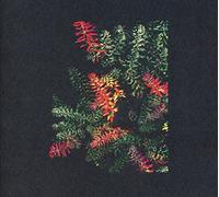 Dark Sky - Othona [Import]