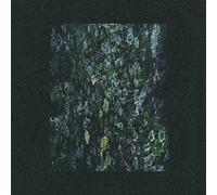 Dark Sky - The Walker, Kilter