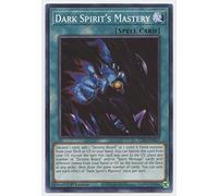 Dark Spirit's Mastery - LDS3-EN017 - Common - 1ère édition