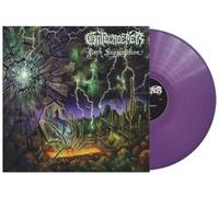 Dark Superstition Vinyle Violet Vinyle
