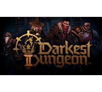 DARKEST DUNGEON (Nintendo)