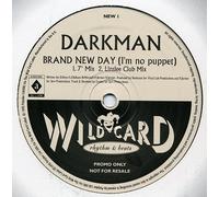 DARKMAN - BRAND NEW DAY 12 INCH (12" VINYL SINGLE) UK WILDCARD