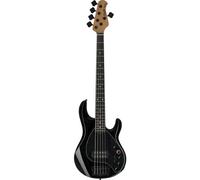 Darkray 5 Stingray Darkglass