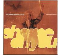 DARLING BUDS - SHAME ON YOU 12 inch (12" Vinyl) UK NATIVE 1988