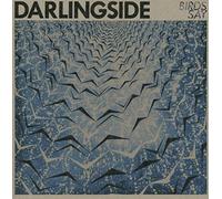 Darlingside - Birds Say