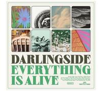 Darlingside - Everything Is Alive [Compact Discs]