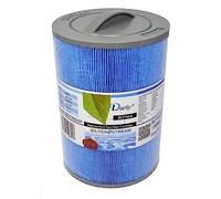 Darlly europe Filtre Anti-bactérien pour Spa 60401 / 6CH-940 / PWW50 / FC-0359