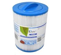 Darlly Filtre AM00243 Wellis Spa (PWL25-P4 / 50653)