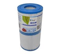 Darlly Lot de 2 Filtres pour Spa 40101 / PWW10 / C4310