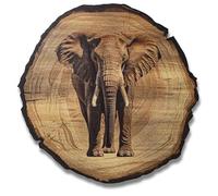 DARO Design - Image mural Éléphant Taille 30 cm - Impression d'art prête à accrocher - Décoration murale sur le thème de la chasse, de la nature, des animaux