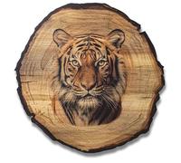 DARO Design Tableau mural tigre taille 20 cm - Impression d'art prête à accrocher - Décoration murale Thème chasse, nature, animaux