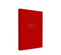 DarrenDaily Journal : Guide pour le mentorat quotidien