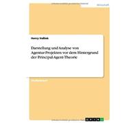 Darstellung Und Analyse Von Agentur-Projekten Vor Dem Hintergrund Der Principal-Agent-Theorie