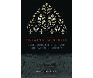 Darwin's Cathedral: Evolution, Religion, and the Nature of Society