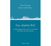 Das abjekte Bild: Erschütterungstechniken zwischen den Medien und Künsten der Frühen Neuzeit