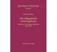Das Altaegyptische "Zweiwegebuch": Studien Zu Den Sargtext-spruechen 1029-113b