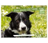 Das coole Hunde ABC (Wandkalender 2026 DIN A3 quer), CALVENDO Monatskalender: Humorvolles Hundewissen