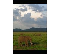 Das deutsche Kolonialreich: Wie es entstand, wie es war, wie es verloren ging