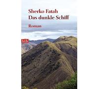 Das dunkle Schiff