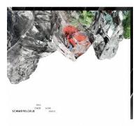 Das Ende Vom Kreis [Import allemand]