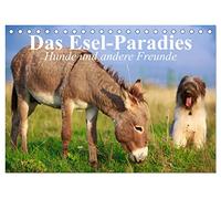 Das Esel-Paradies - Hunde und andere Feunde (Tischkalender 2026 DIN A5 quer), CALVENDO Monatskalender: Die lustigen Abenteuer eines kleinen Esels mit seinen Freunden