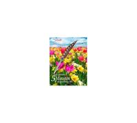 Das Geführte 5 Minuten Tagebuch Für Den Frühling
