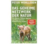 Das geheime Netzwerk der Natur | Peter Wohlleben Peter Wohlleben (Auteur)