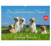 Das Glück hat einen Namen - Golden Retriever (Wandkalender 2026 DIN A2 quer), CALVENDO Monatskalender: Eine der wohl schönsten und beliebtesten Hunderassen auf 13 wundervollen Fotos